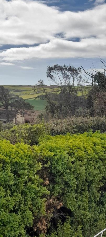 Little Orchard House Bed and Breakfast Salcombe Buitenkant foto
